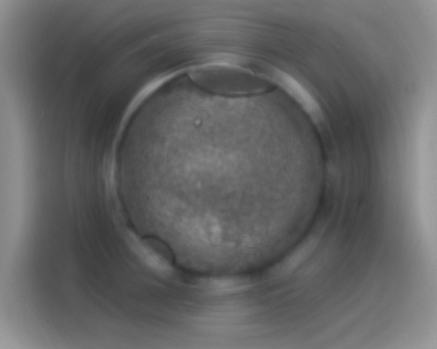 X0000114120948200910131400