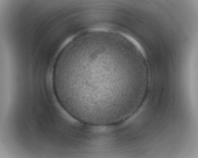 X0000114120949200910131400