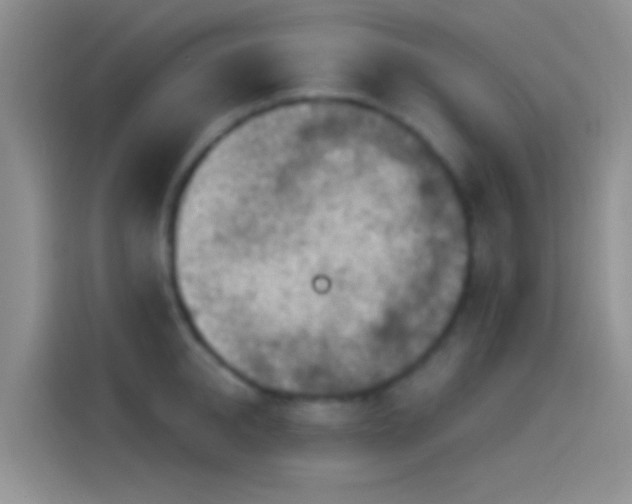 X0000114120950200910131400