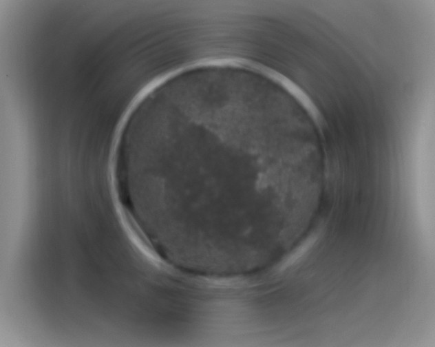 X0000114120951200910131400