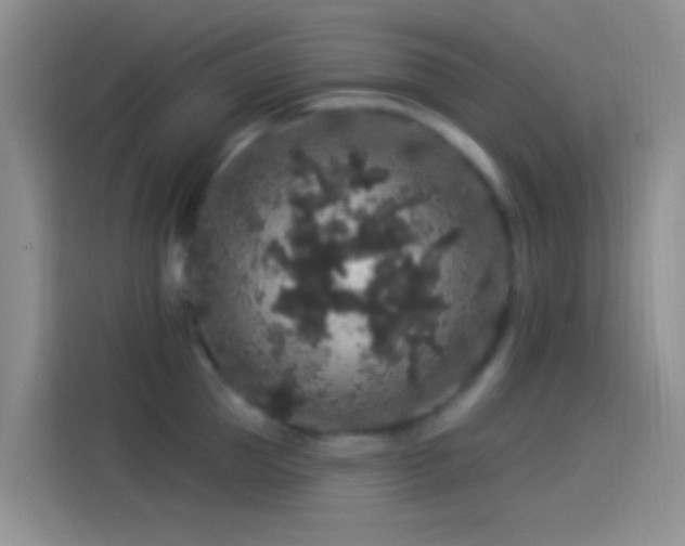 X0000114120953200910131400