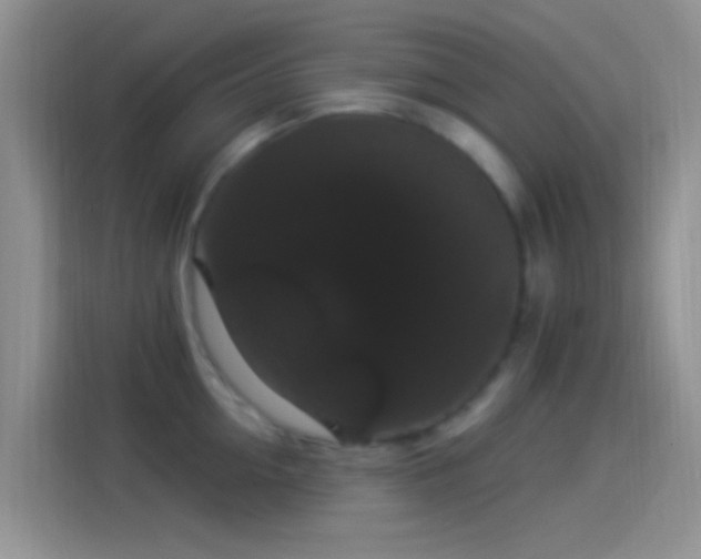 X0000114120954200910131400