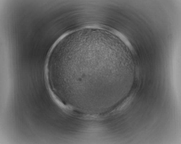 X0000114120955200910131400