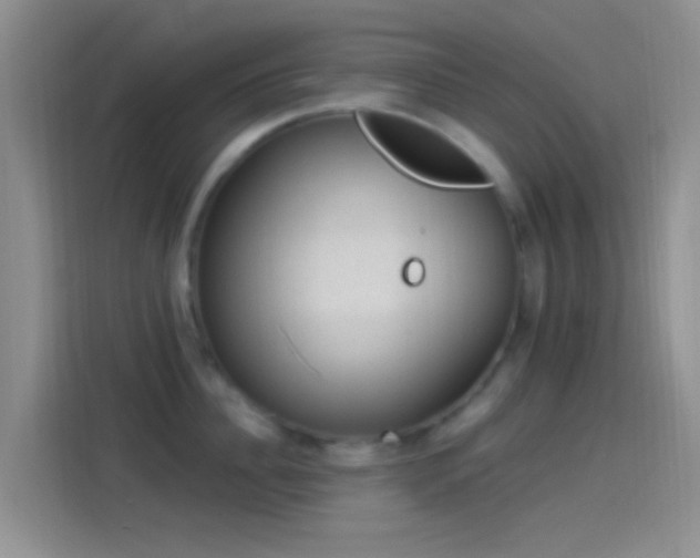 X0000114120956200910131400