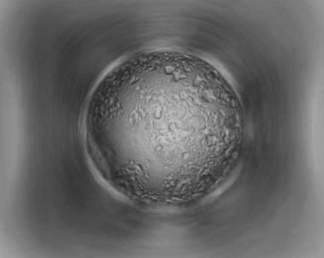 X0000114120957200910131401