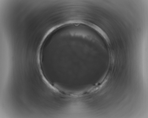 X0000114120958200910131401