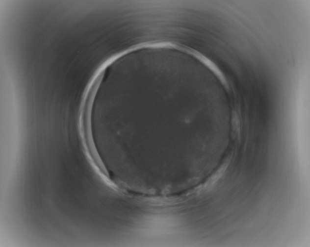 X0000114120959200910131401