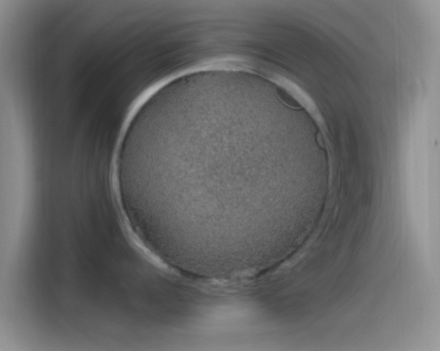 X0000114120960200910131401