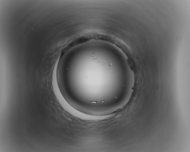 X0000114120965200910131400