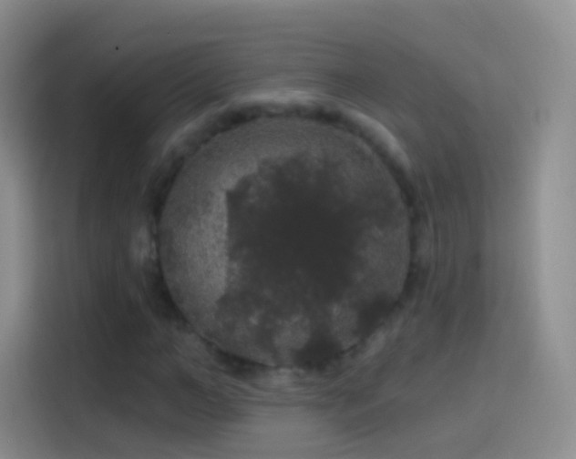 X0000114120966200910131400