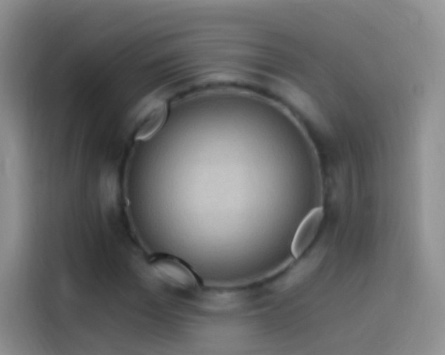 X0000114120969200910131400