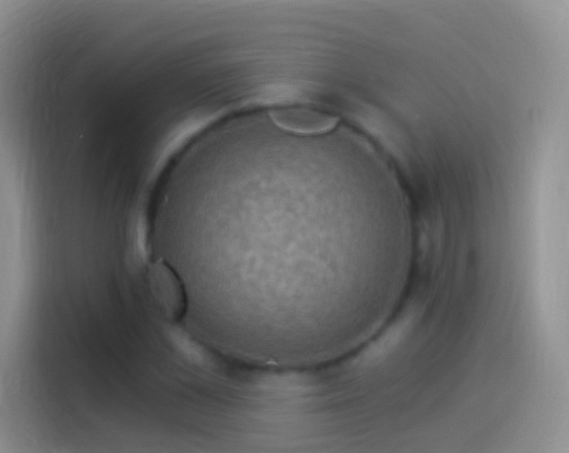 X0000114120973200910131400