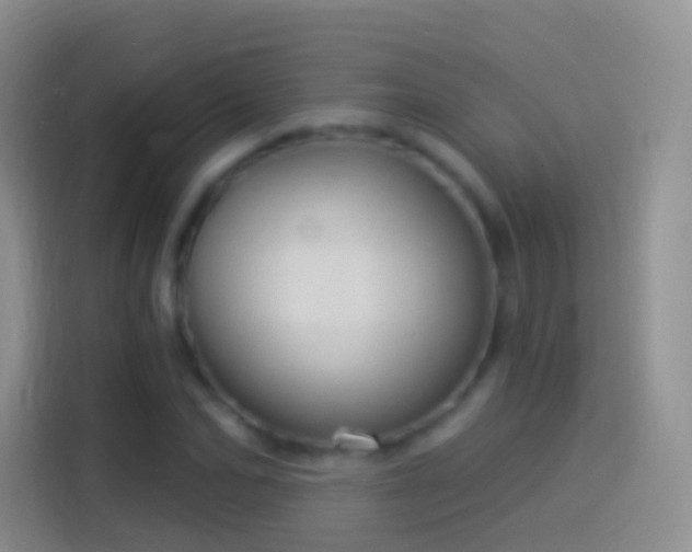 X0000114120974200910131400