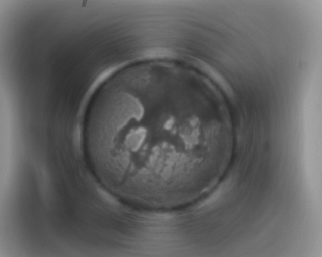 X0000114120975200910131400