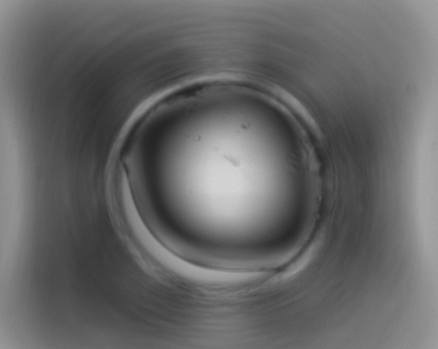 X0000114120981200910131400