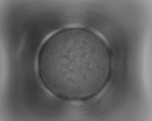 X0000114120983200910131400