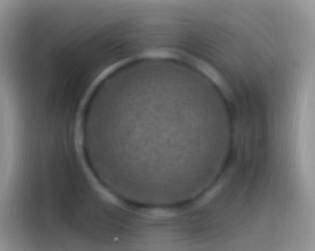 X0000114120984200910131400