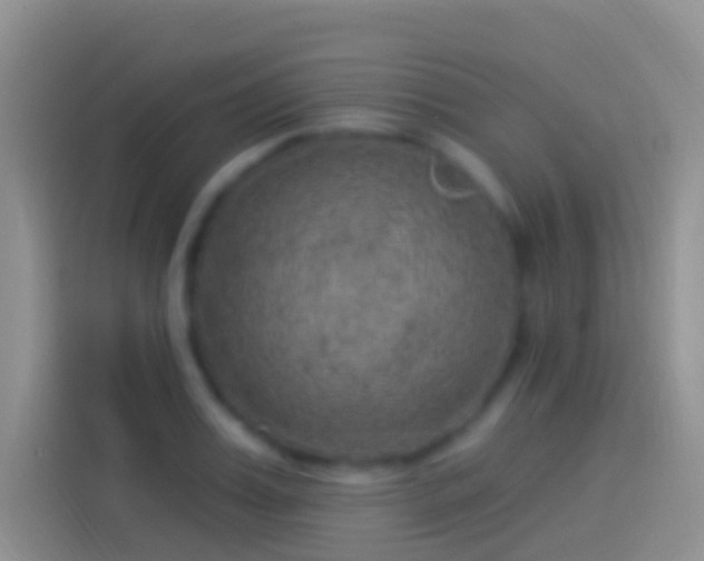 X0000114120987200910131359