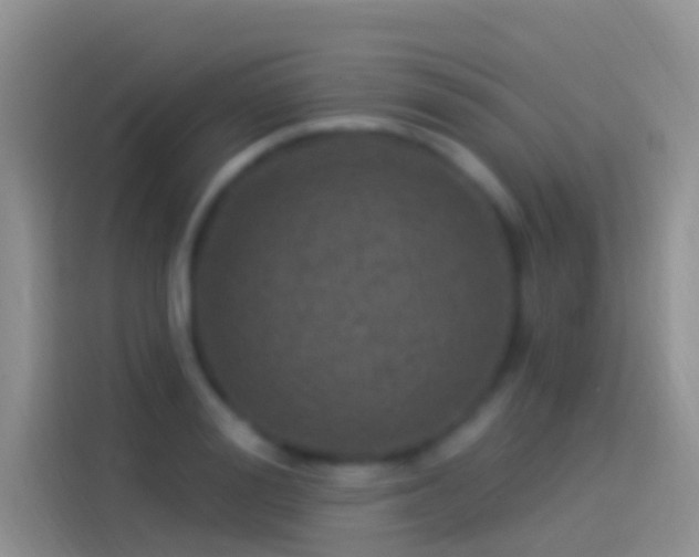 X0000114120988200910131359