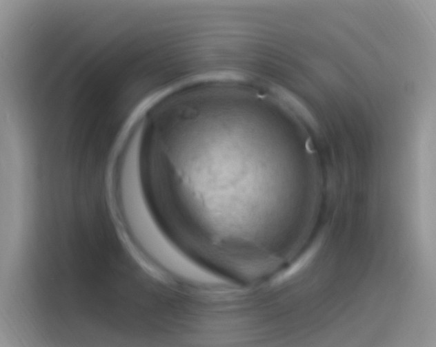 X0000114120989200910131359