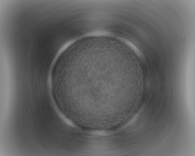 X0000114120990200910131359