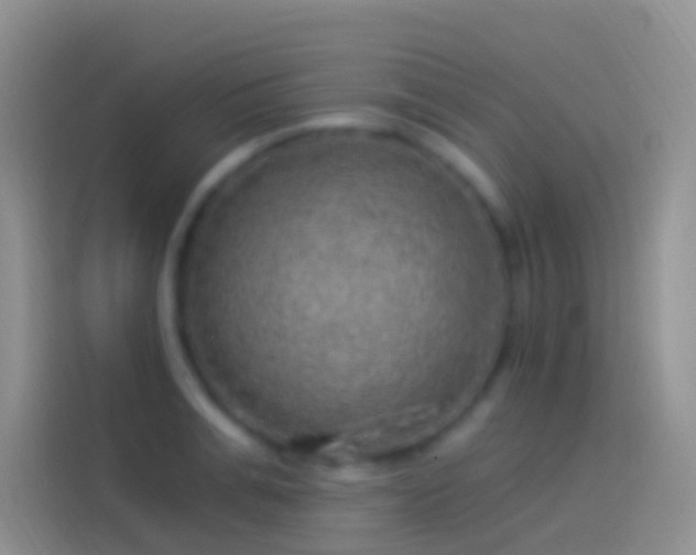 X0000114120991200910131359