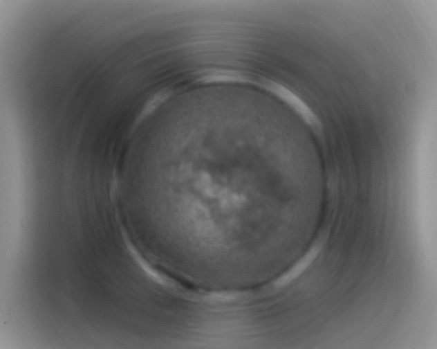 X0000114120993200910131359