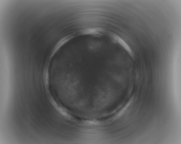 X0000114120994200910131359