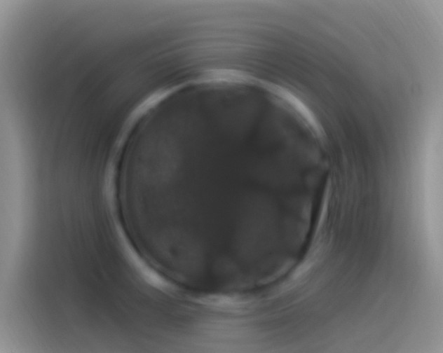 X0000114120995200910131359