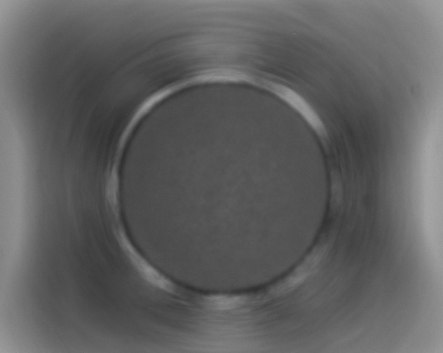 X0000114120996200910131359