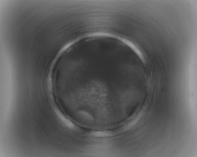 X0000114120998200910131359