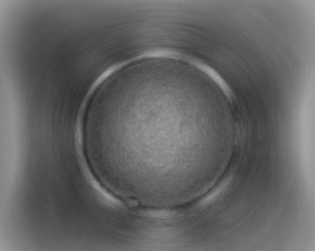 X0000114120999200910131359