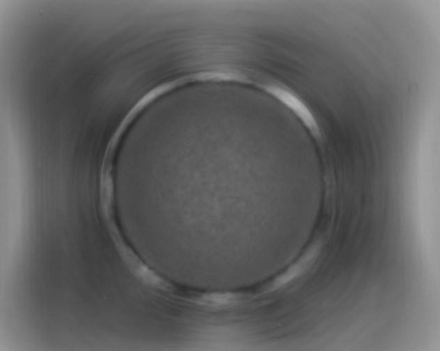 X0000114121000200910131359