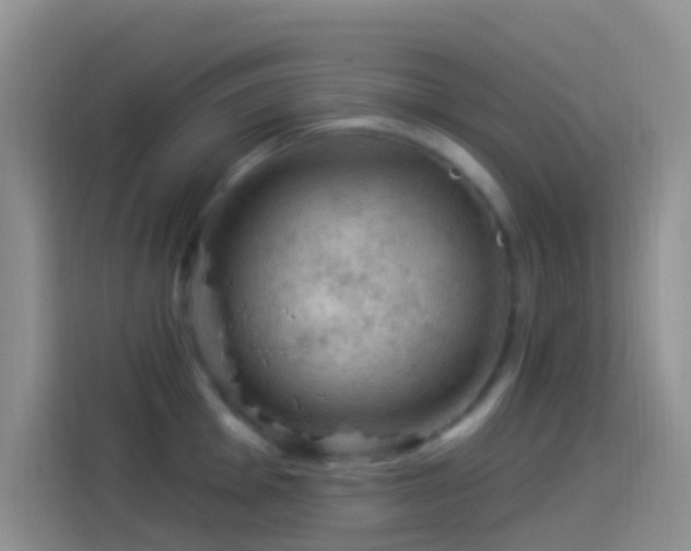 X0000114121001200910131359