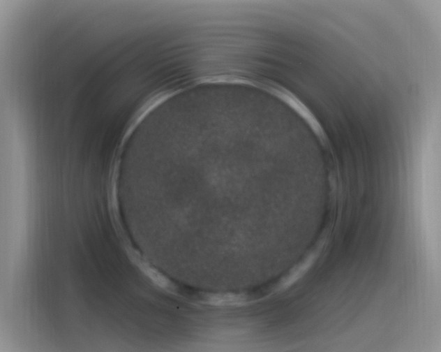 X0000114121002200910131359