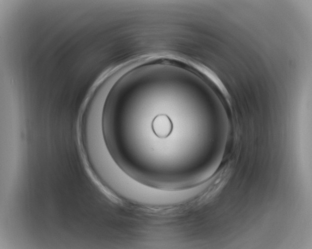 X0000114121005200910131359