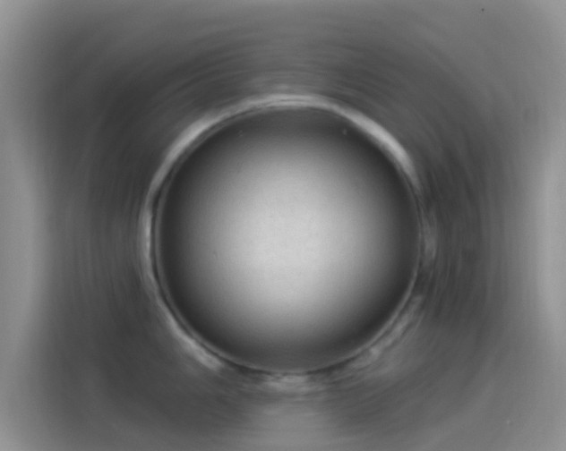 X0000114121006200910131359