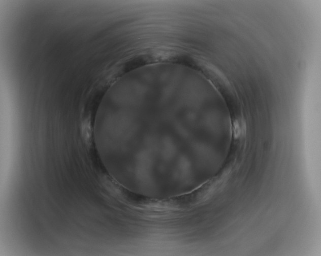 X0000114121011200910131359