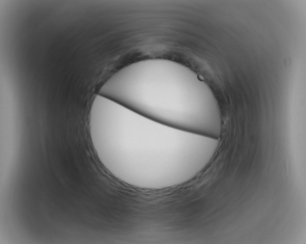 X0000114121012200910131359