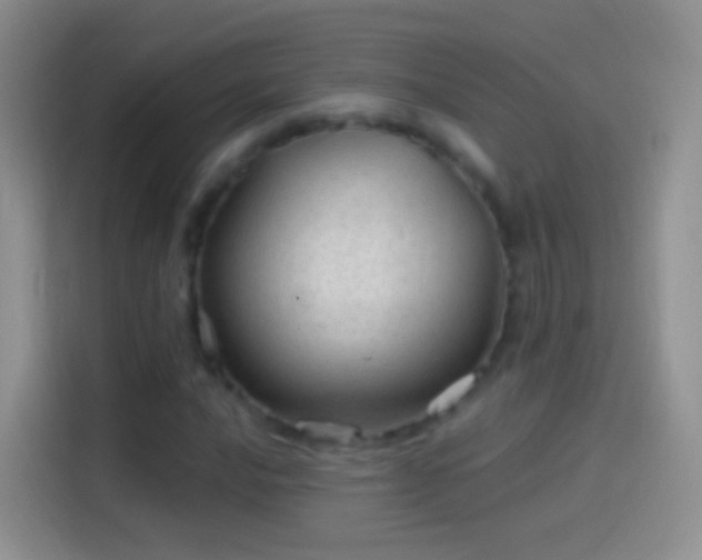 X0000114121016200910131359