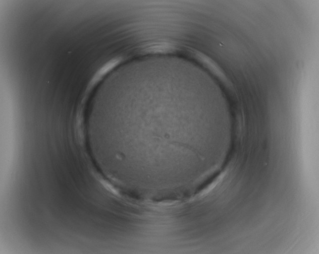 X0000114121018200910131359