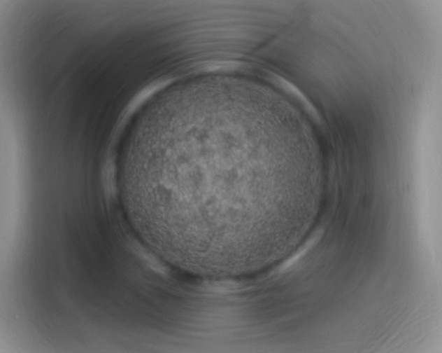 X0000114121019200910131359