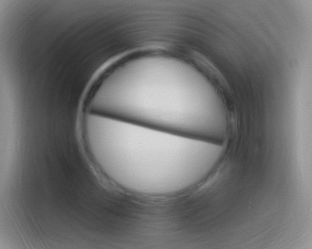 X0000114121020200910131359