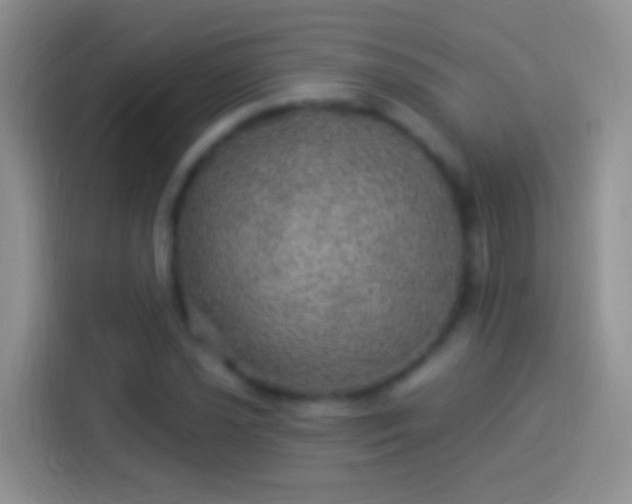 X0000114121021200910131359