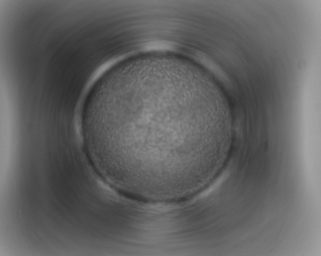 X0000114121022200910131359