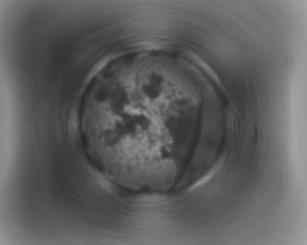 X0000114121023200910131359