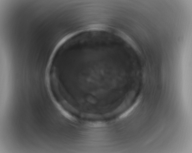 X0000114121024200910131359