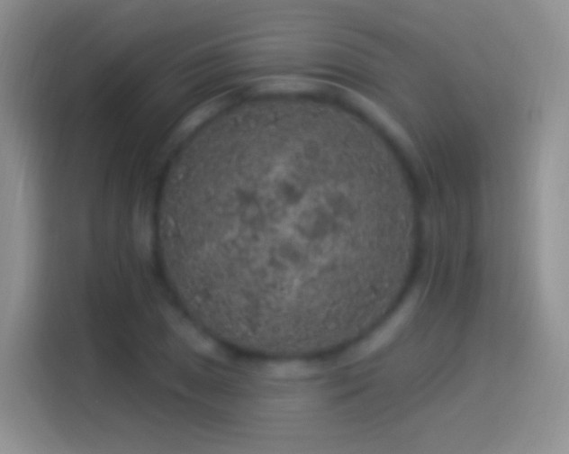 X0000114121025200910131359