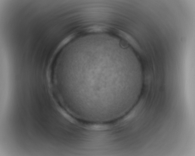 X0000114121026200910131359