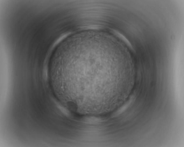 X0000114121027200910131359